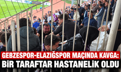 Gebzespor-Elazığspor Maçında Kavga: Bir Taraftar Hastanelik Oldu