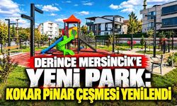 Derince Mersincik’e Yeni Park: Kokar Pınar Çeşmesi Yenilendi