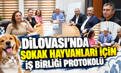 Dilovası’nda sokak hayvanları için iş birliği protokolü