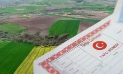 İşlenmeyen tarım arazileri için kiralama süreci başladı: Listeler askıya çıktı