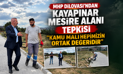 MHP Dilovası'ndan Kayapınar Mesire Alanı Tepkisi: "Kamu Malı Hepimizin Ortak Değeridir"