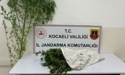Kartepe’de Uyuşturucu Operasyonu: Şüpheli Tutuklandı