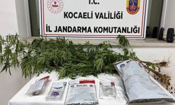 Jandarmadan İzmit'te Baskın: Zehir Tacirlerine Ağır Darbe