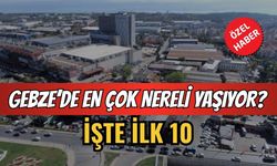 Gebze’de en çok nereli yaşıyor? İşte ilk 10