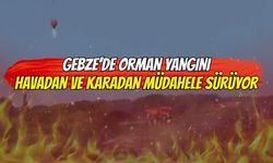 Gebze’de orman yangını! Muallimköy’de alevlere havadan ve karadan müdahale sürüyor