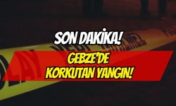 Gebze Mutlukent'te Korkutan Yangın