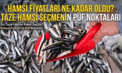 Hamsi fiyatları ne kadar oldu? Taze hamsi seçmenin püf noktaları