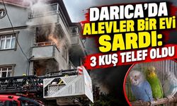 Darıca’da alevler bir evi sardı: 3 kuş telef oldu