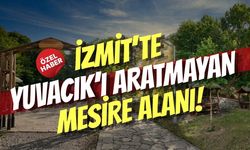 İzmit’te Yuvacık’ı Aratmayan Mesire Alanı