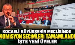 Kocaeli Büyükşehir Meclisinde Komisyon Seçimleri Tamamlandı: İşte Yeni Üyeler