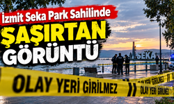 İzmit’te Seka Park Sahilinde Şaşırtan Görüntü