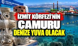 İzmit Körfezi’nin çamuru denize yuva olacak