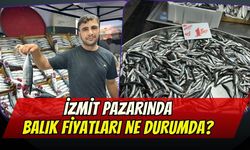İzmit Pazarında Balık Fiyatları Ne Oldu?