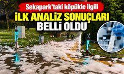 Sekapark’taki köpükle ilgili ilk analiz sonuçları belli oldu