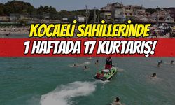 Kandıra'da 1 Haftada 17 Kurtarma