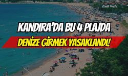 Kandıra’da 4 plajda denize girmek yasaklandı