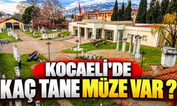 Kocaeli'de Kaç Tane Müze Var ?