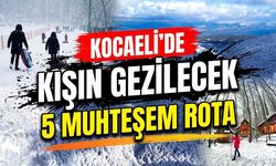 Kocaeli’de Kışın Gezilecek Yerler: Karla Kaplı 5 Muhteşem Rota