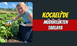 Kocaeli’de Müdürlükten Tarlaya