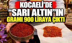 Kocaeli’de “sarı altın”ın gramı 900 liraya çıktı