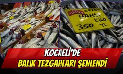 Kocaeli'de Balık Tezgahları Şenlendi