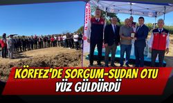 Körfez'de Sorgum-Sudan Otu Yüz Güldürdü