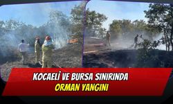 Kocaeli ve Bursa Sınırında Orman Yangını