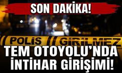 Son Dakika! TEM Otoyolu’ndaki köprüde intihar girişimi