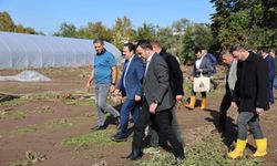Başiskele'de Selden Etkilenen Çiftçilere Devlet Desteği