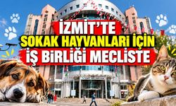 İzmit’te Sokak Hayvanları İçin İş Birliği Mecliste