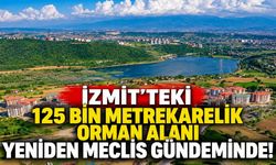 İzmit'teki 125 Bin Metrekarelik Orman Alanı Yeniden Meclis Gündeminde