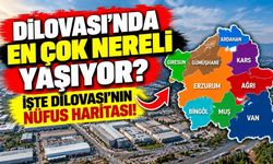 Dilovası'nda en çok nereli yaşıyor? İşte nüfusun memleket haritası!
