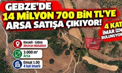 Gebze'de 14 milyon 700 bin TL'ye arsa satışa çıkıyor! 4 kat imar izni bulunuyor