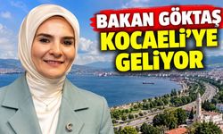 Bakan Göktaş Kocaeli’ye Geliyor: Gebze’de "Aile Dostu İşletmeler" Ödüllendirilecek