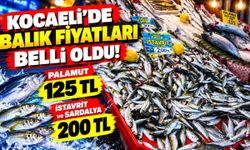 Kocaeli'de balık fiyatları belli oldu! Palamut 125 TL, istavrit 200 TL