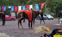 Sporun Başkenti Kocaeli'de Heyecan Dört Nala Sürdü