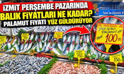 İzmit Perşembe pazarında balık fiyatları ne kadar? Palamut fiyatı yüz güldürüyor