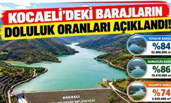 Kocaeli'deki barajların doluluk oranları açıklandı! Namazgâh Barajı'nda dikkat çeken düşüş