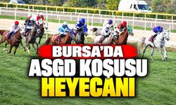 Bursa'da Asgd Koşusu Heyecanı: Kupayı Saraytay Kazandı!