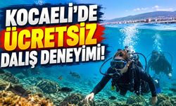 Kocaeli’de ücretsiz dalış deneyimi