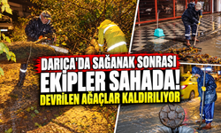 Darıca'da sağanak sonrası ekipler sahada! Devrilen ağaçlar kaldırılıyor