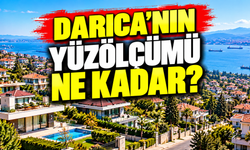 Darıca’nın yüzölçümü ne kadar? 24 kilometrekarelik ilçede dikkat çeken nüfus yoğunluğu!
