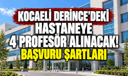 Kocaeli Derince'deki hastaneye 4 profesör alınacak! Başvuru şartları