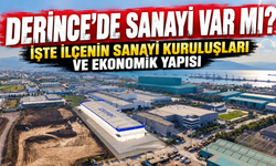 Derince'nin sanayi gücü dikkat çekiyor! İşte ilçede faaliyet gösteren kuruluşlar