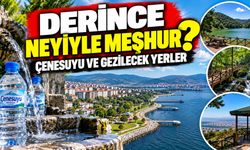 Derince neyiyle meşhur? Çenesuyu ve gezilecek yerler