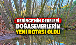 Derince’nin Dereleri Doğaseverlerin Yeni Rotası Oldu
