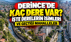Derince'de kaç dere var? İşte derelerin isimleri ve geçtiği mahalleler
