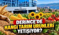 Derince'de hangi tarım ürünleri yetişiyor? İşte ilçenin tarım ürünleri ve üretim bölgeleri