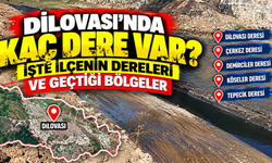 Dilovası'nda kaç dere var? İşte ilçenin dereleri ve geçtiği bölgeler