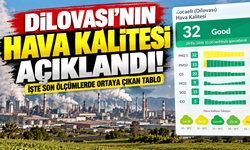 Dilovası'nın hava kalitesi açıklandı! İşte son ölçümlerde ortaya çıkan tablo